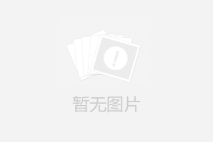 生產適合市場需要的小型發電機